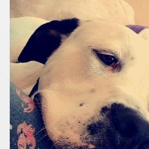 Meet your Posher, Macenzie